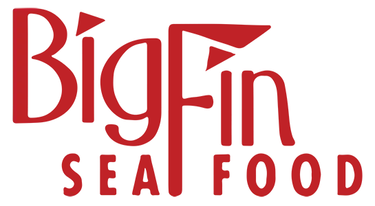 Big Fin Logo